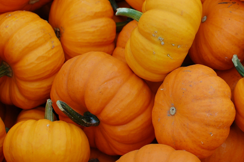 October Newsletter